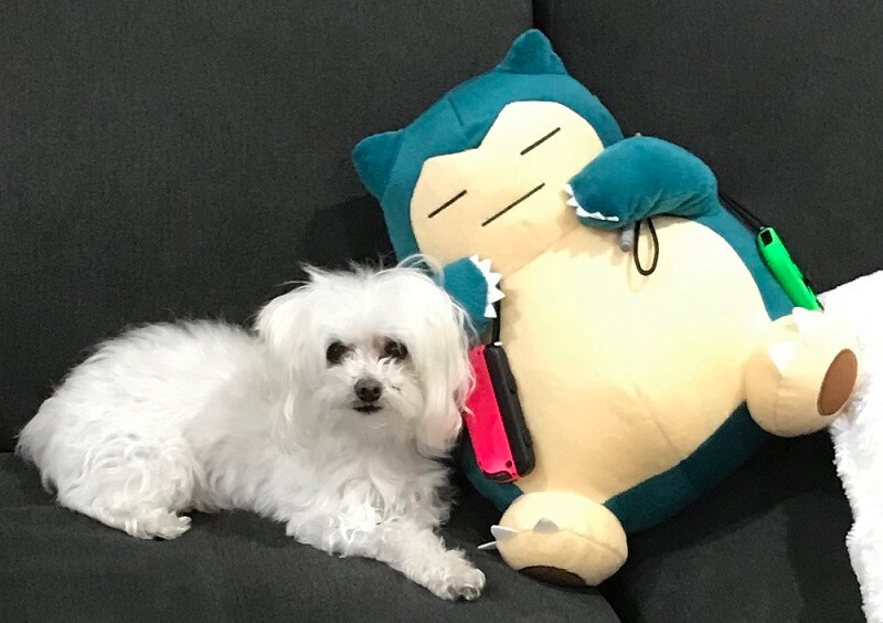 Pippen with a Snorlax stuffed toy